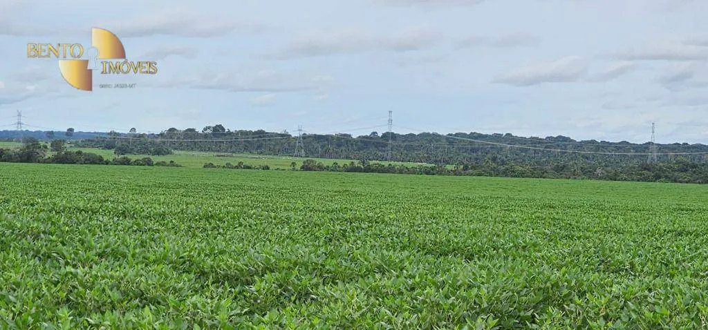 Farm for sale and to rent of 1,297 acres in Sinop, MT, Brazil