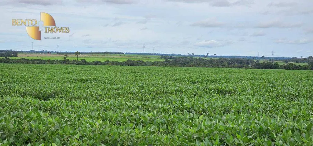 Farm for sale and to rent of 1,297 acres in Sinop, MT, Brazil