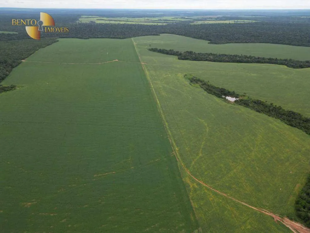 Farm for sale and to rent of 1,297 acres in Sinop, MT, Brazil