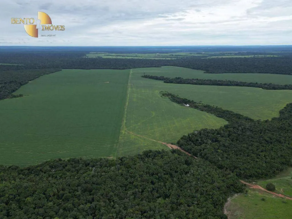 Farm for sale and to rent of 1,297 acres in Sinop, MT, Brazil