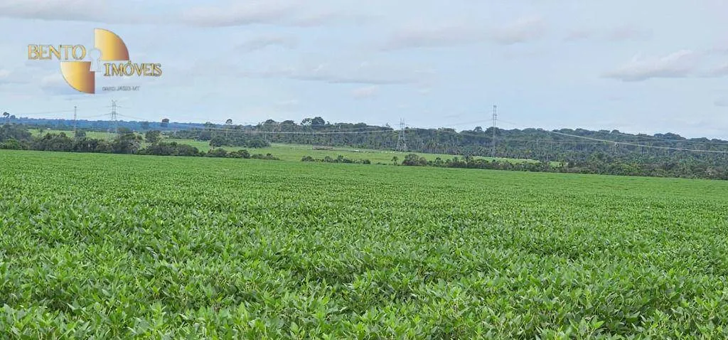 Farm for sale and to rent of 1,297 acres in Sinop, MT, Brazil