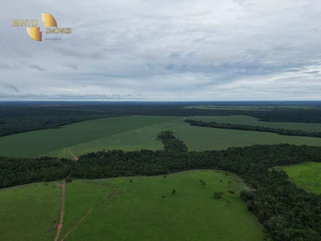 Farm for sale and to rent of 1,297 acres in Sinop, MT, Brazil