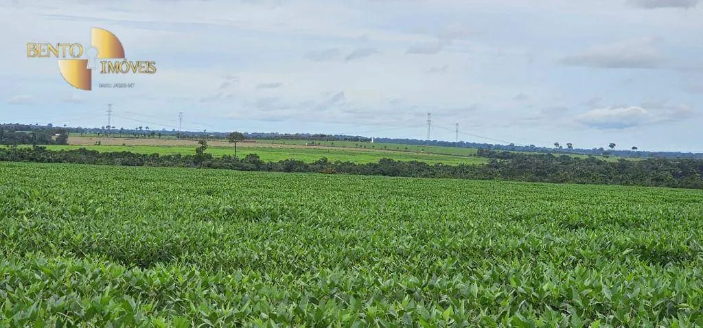 Farm for sale and to rent of 1,297 acres in Sinop, MT, Brazil