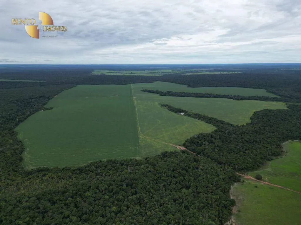Farm for sale and to rent of 1,297 acres in Sinop, MT, Brazil