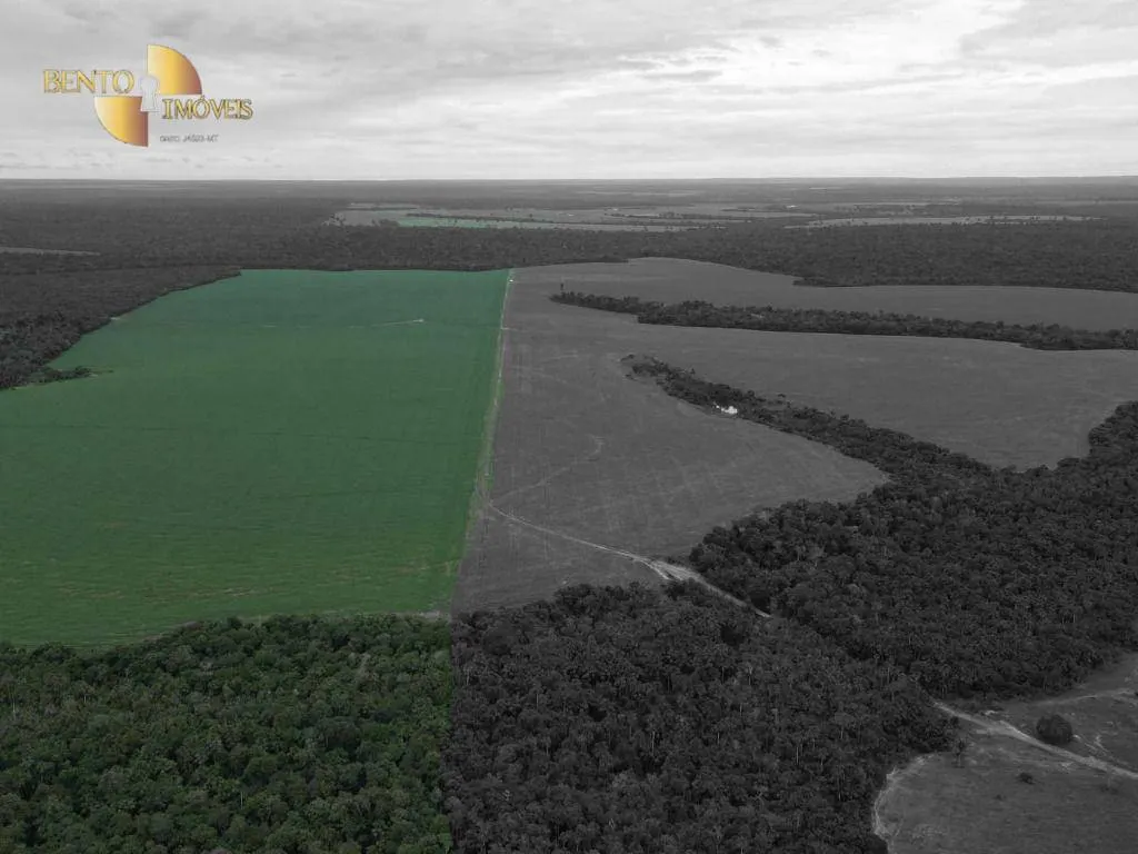 Farm for sale and to rent of 1,297 acres in Sinop, MT, Brazil
