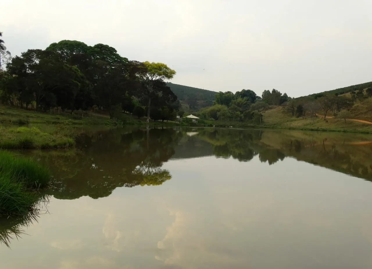 Fazenda à venda de 726 ha em Santo Antônio do Amparo, MG, Brasil