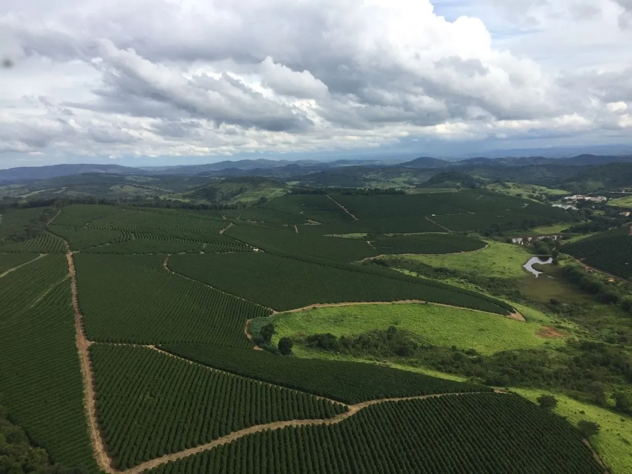 Fazenda à venda de 726 ha em Santo Antônio do Amparo, MG, Brasil