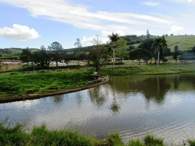 Fazenda à venda de 726 ha em Santo Antônio do Amparo, MG, Brasil