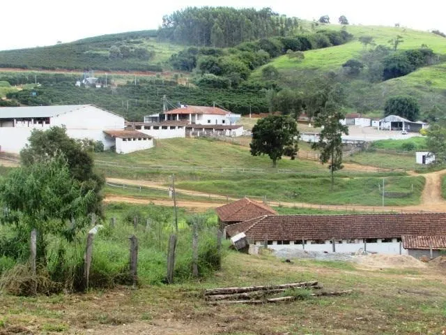Fazenda à venda de 726 ha em Santo Antônio do Amparo, MG, Brasil