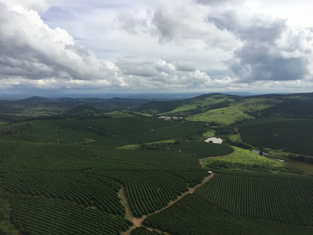 Fazenda à venda de 726 ha em Santo Antônio do Amparo, MG, Brasil