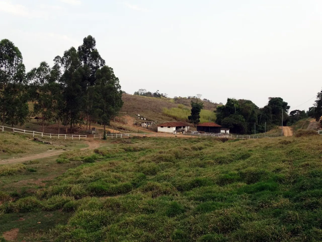 Fazenda à venda de 726 ha em Santo Antônio do Amparo, MG, Brasil