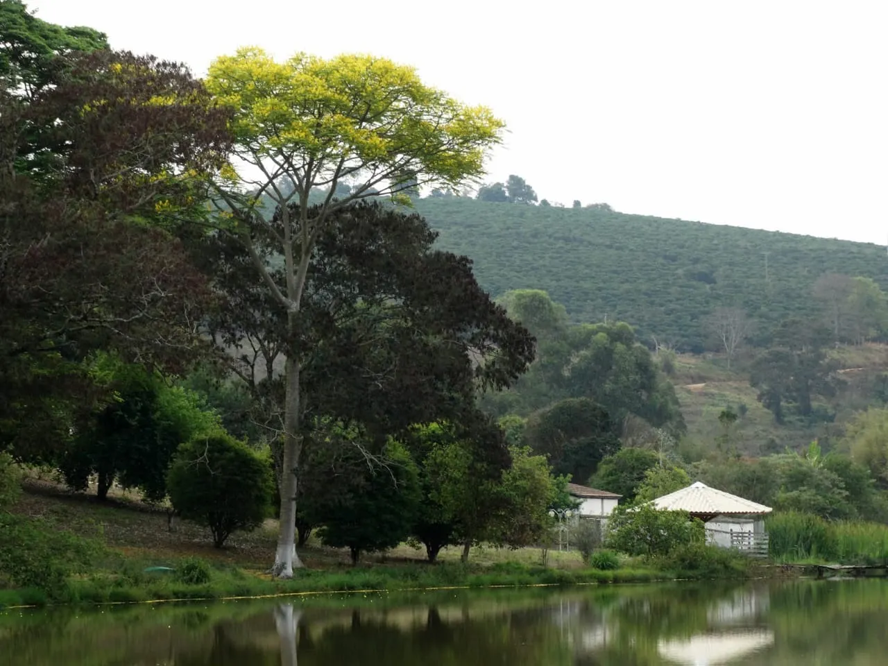 Fazenda à venda de 726 ha em Santo Antônio do Amparo, MG, Brasil
