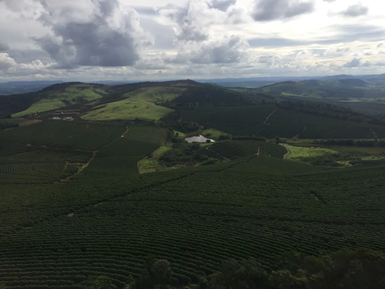 Fazenda à venda de 726 ha em Santo Antônio do Amparo, MG, Brasil