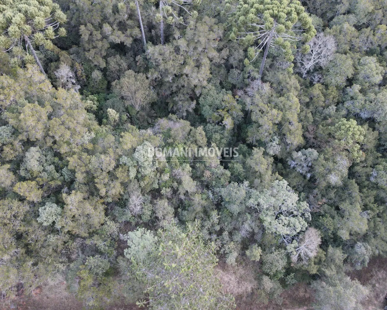 Terreno à venda de 8.100 m² em Campos do Jordão, SP, Brasil