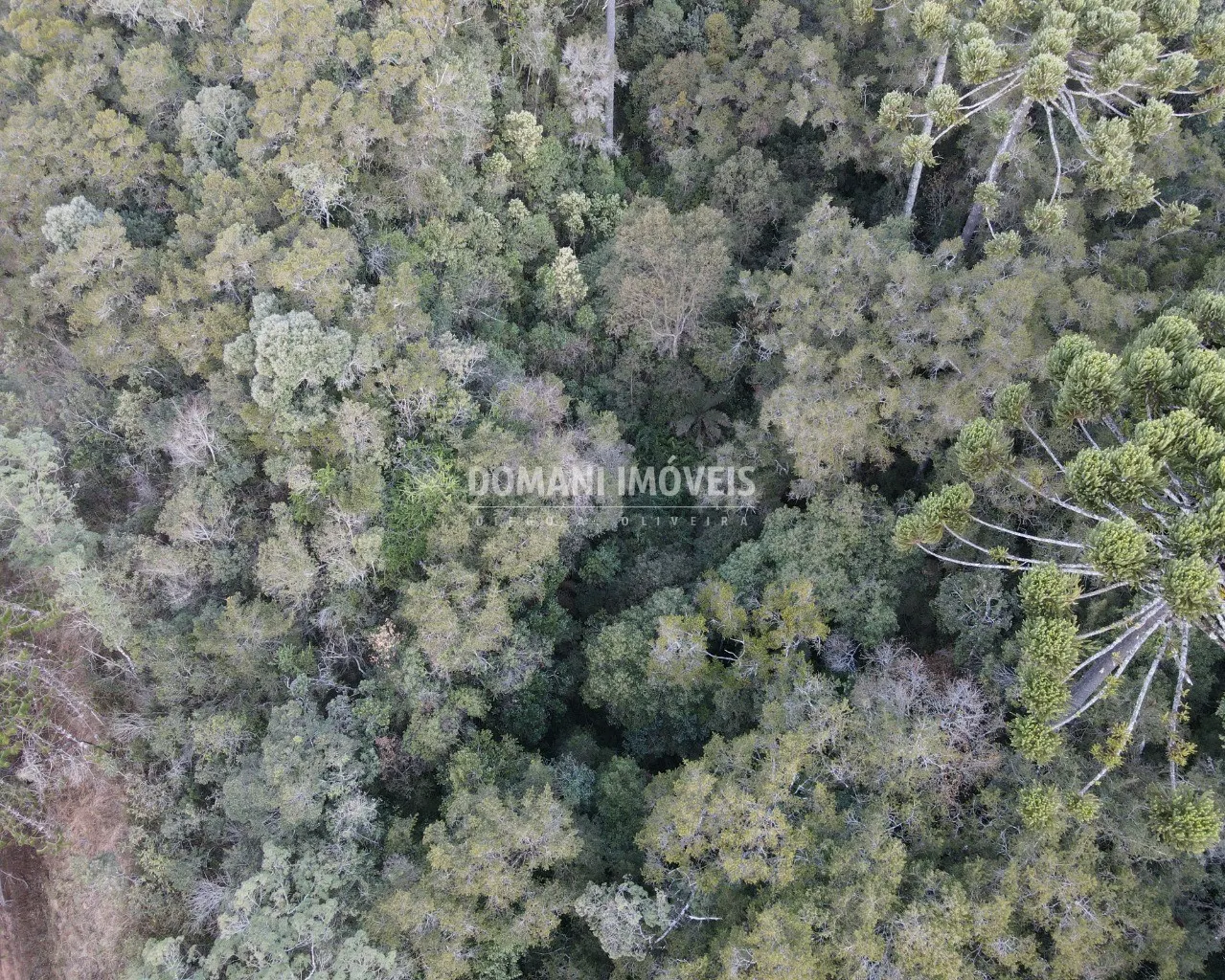 Terreno à venda de 8.100 m² em Campos do Jordão, SP, Brasil