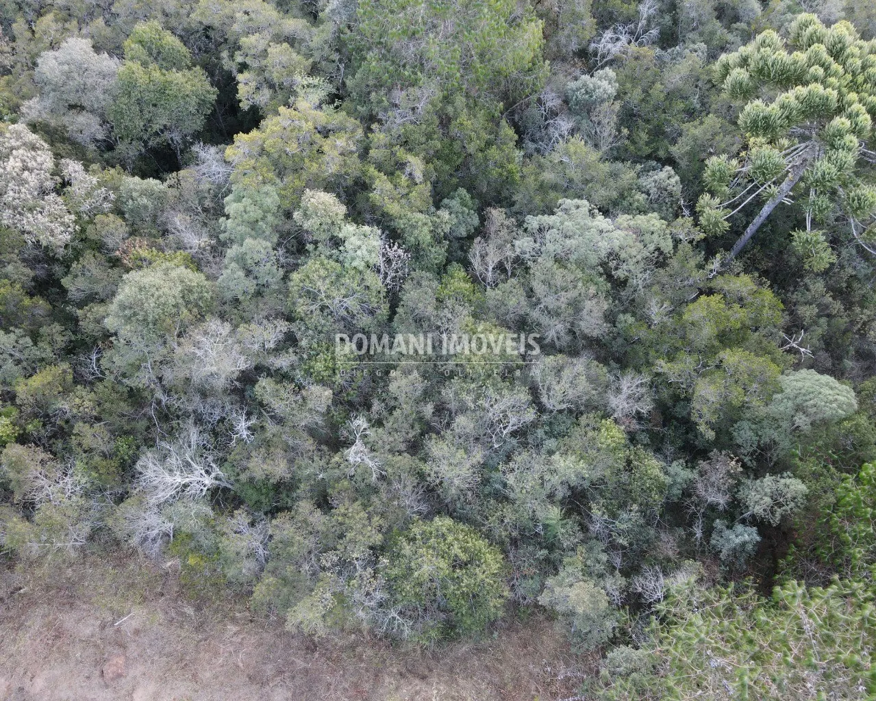 Terreno à venda de 8.100 m² em Campos do Jordão, SP, Brasil
