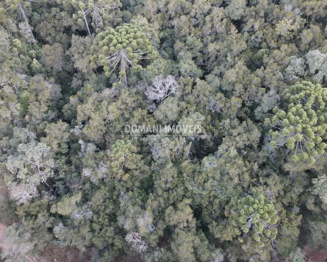 Terreno à venda de 8.100 m² em Campos do Jordão, SP, Brasil