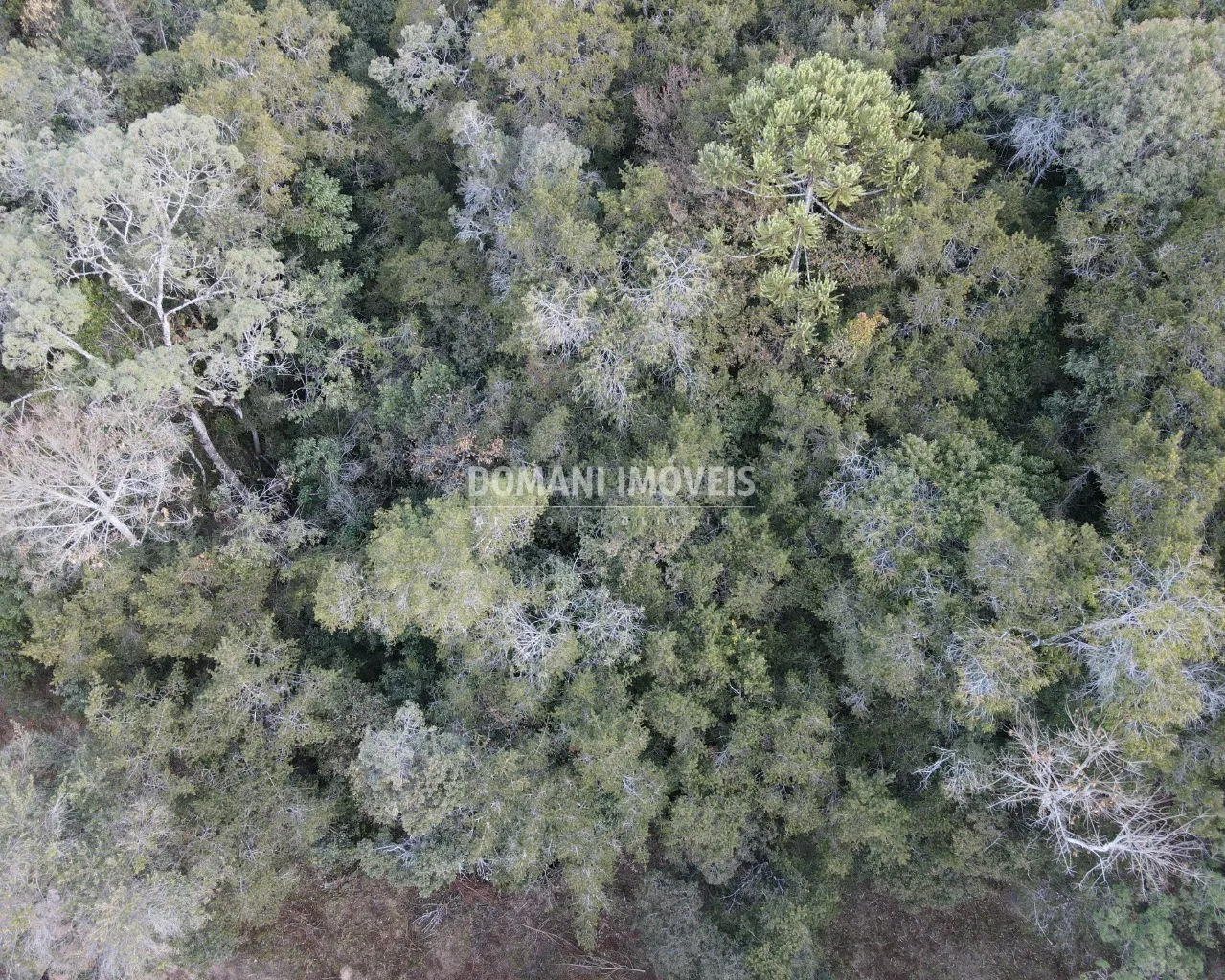 Terreno à venda de 8.100 m² em Campos do Jordão, SP, Brasil