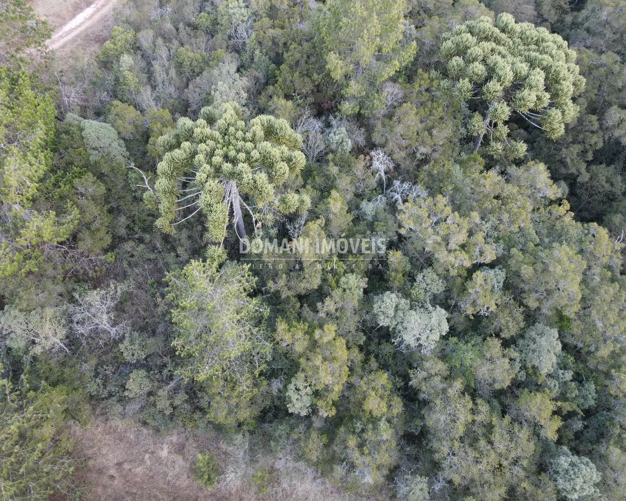 Terreno à venda de 8.100 m² em Campos do Jordão, SP, Brasil