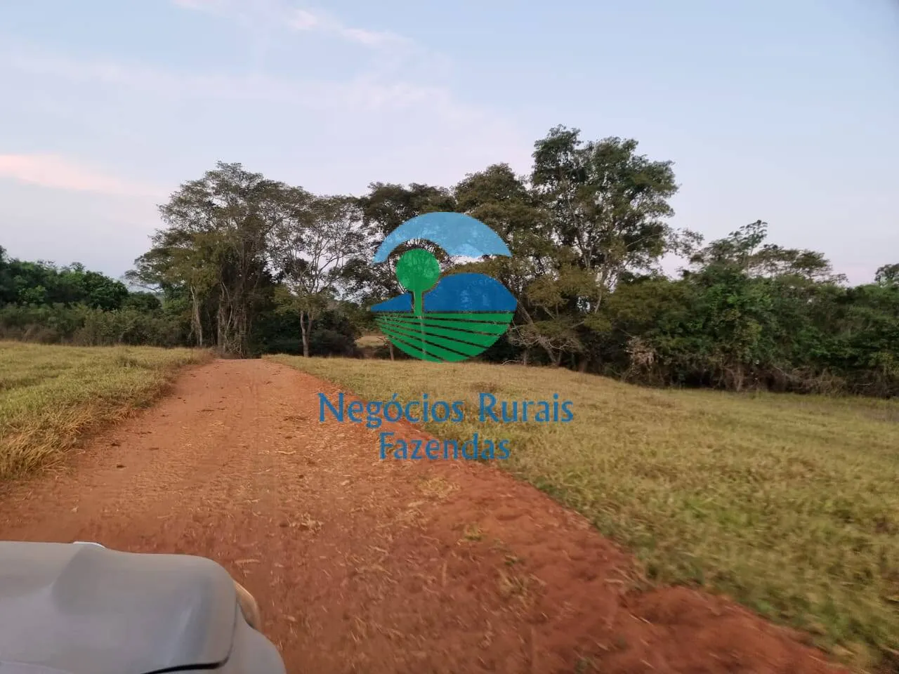 Farm for sale of 2,990 acres in Campinaçu, GO, Brazil