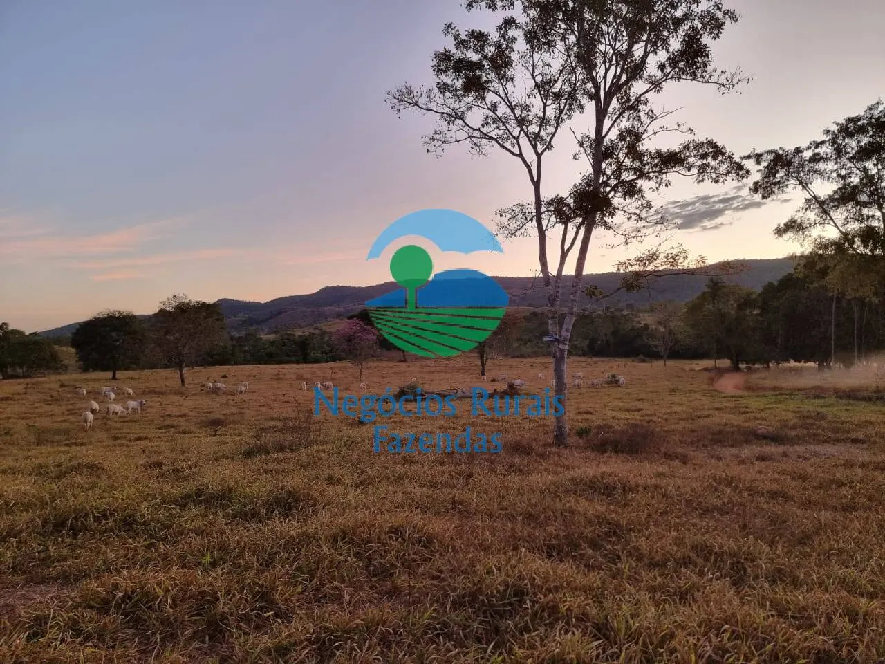 Farm for sale of 2,990 acres in Campinaçu, GO, Brazil