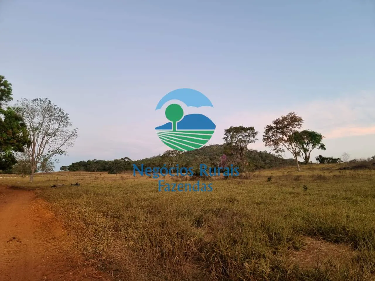 Farm for sale of 2,990 acres in Campinaçu, GO, Brazil