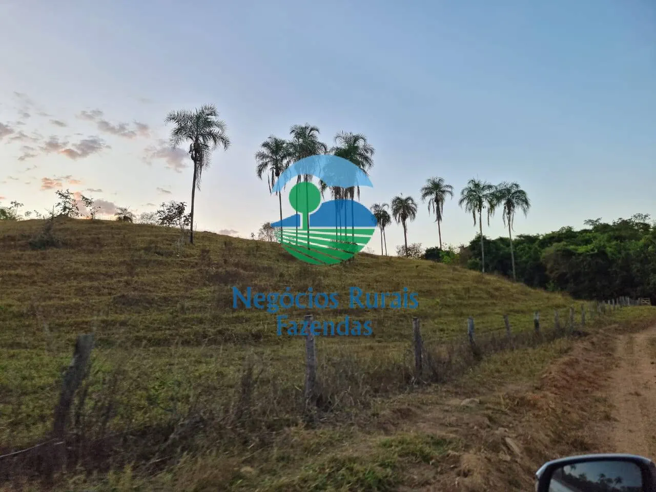 Fazenda à venda de 1.210 ha em Campinaçu, GO, Brasil