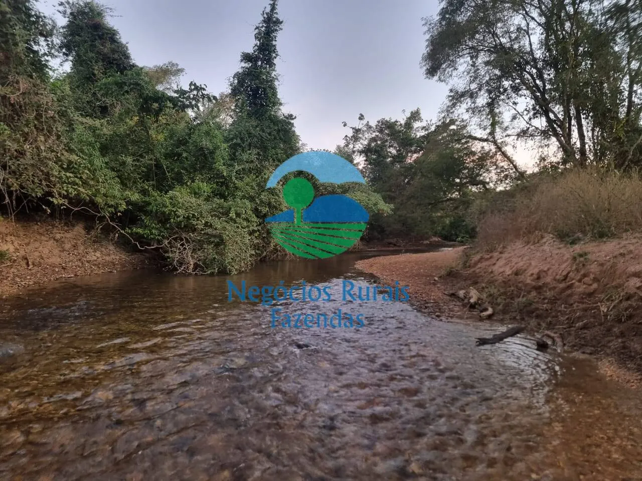 Farm for sale of 2,990 acres in Campinaçu, GO, Brazil