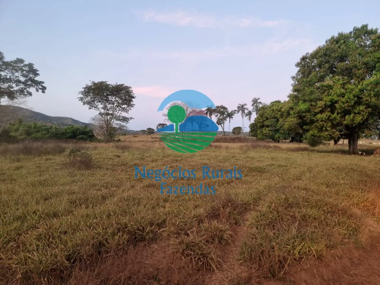 Farm for sale of 2,990 acres in Campinaçu, GO, Brazil