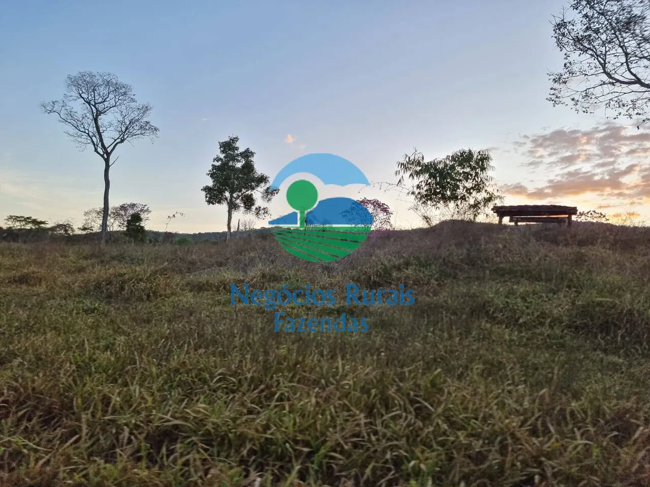 Farm for sale of 2,990 acres in Campinaçu, GO, Brazil