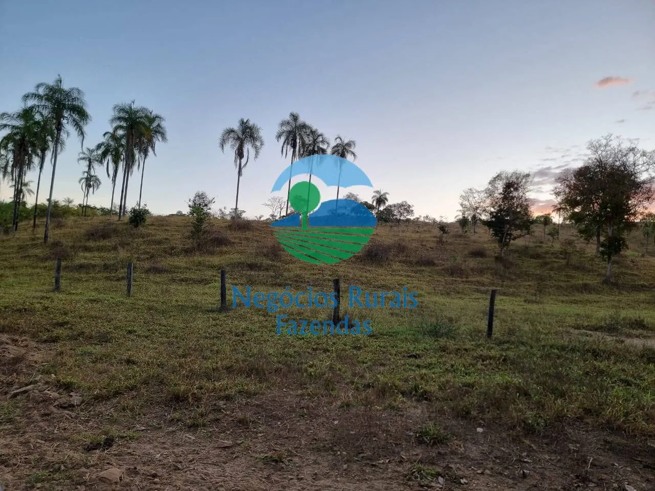 Farm for sale of 2,990 acres in Campinaçu, GO, Brazil