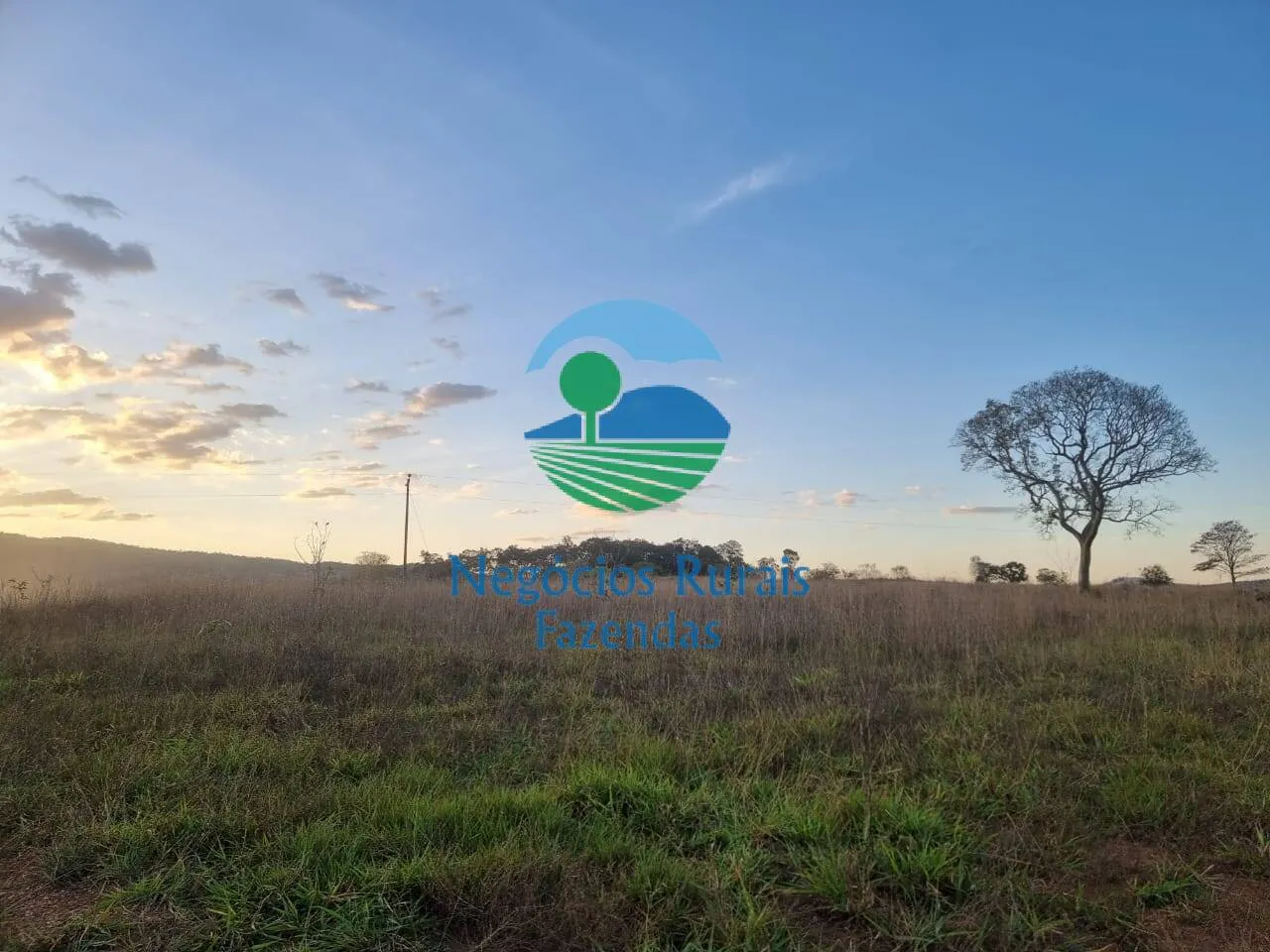 Farm for sale of 2,990 acres in Campinaçu, GO, Brazil