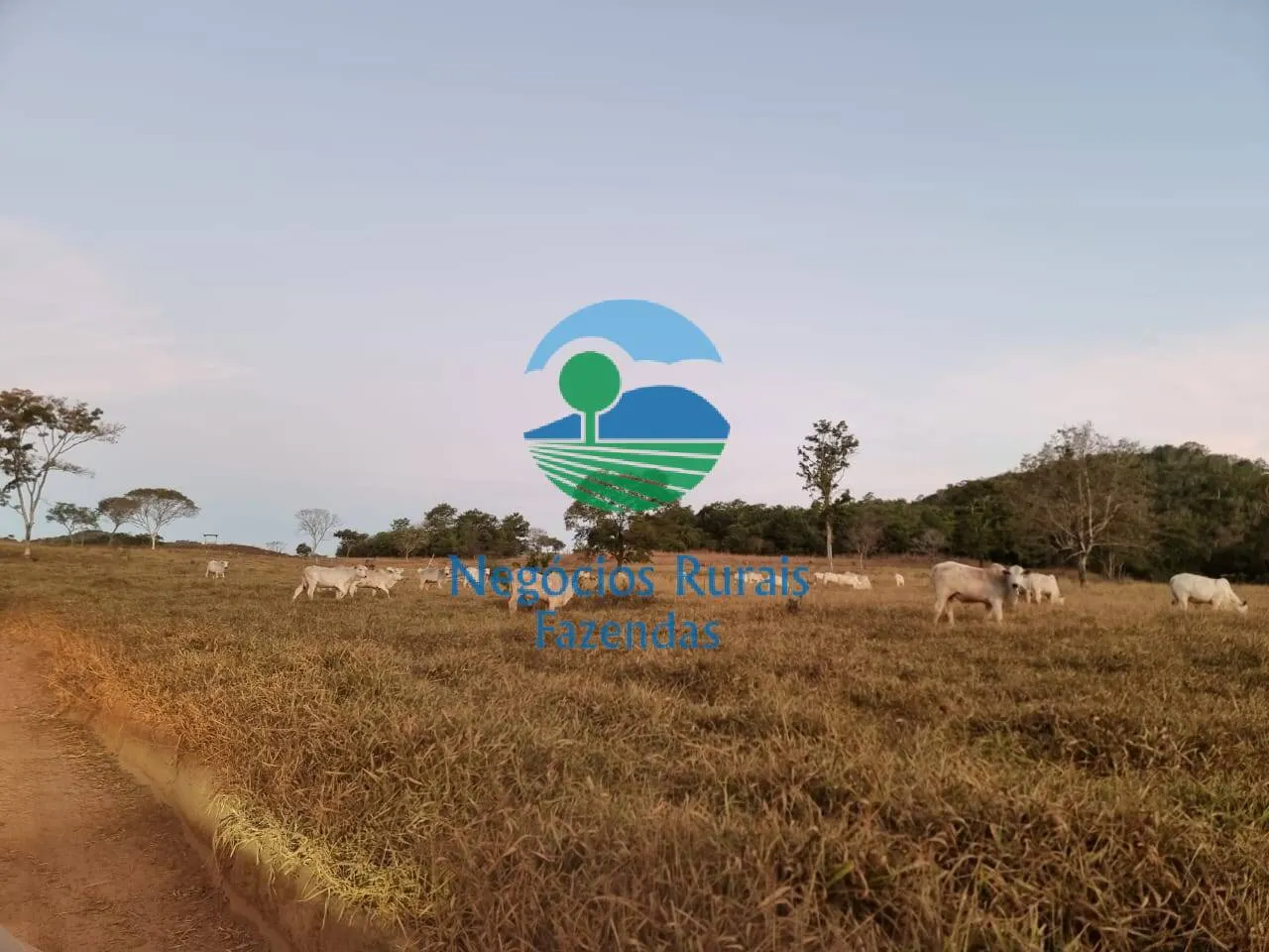 Farm for sale of 2,990 acres in Campinaçu, GO, Brazil
