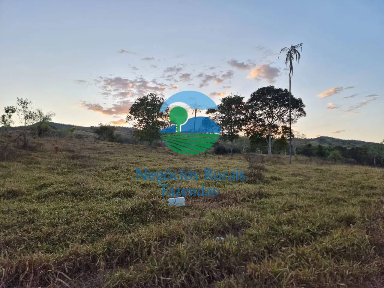 Farm for sale of 2,990 acres in Campinaçu, GO, Brazil