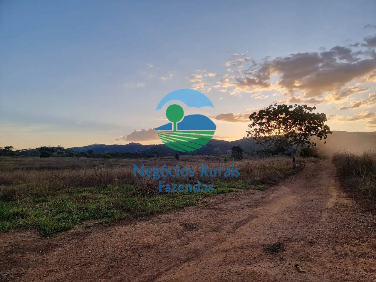 Farm for sale of 2,990 acres in Campinaçu, GO, Brazil