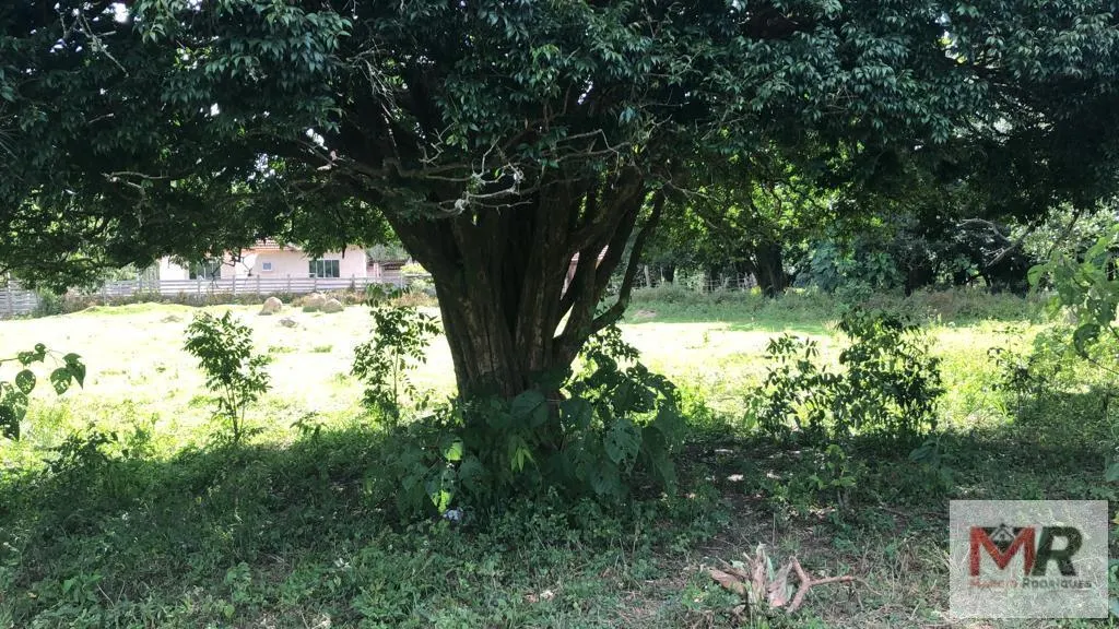 Sítio à venda de 2 ha em Estiva, MG, Brasil