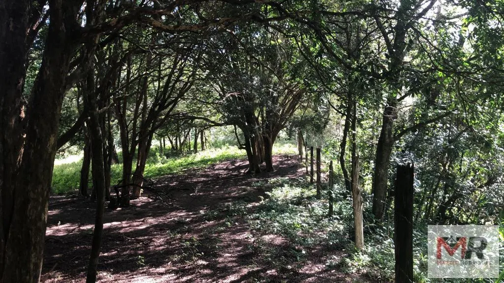 Sítio à venda de 2 ha em Estiva, MG, Brasil