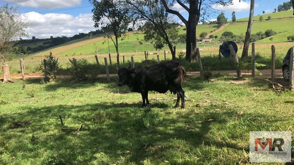 Sítio à venda de 2 ha em Estiva, MG, Brasil