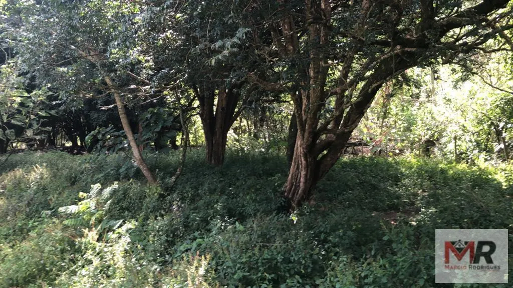 Sítio à venda de 2 ha em Estiva, MG, Brasil