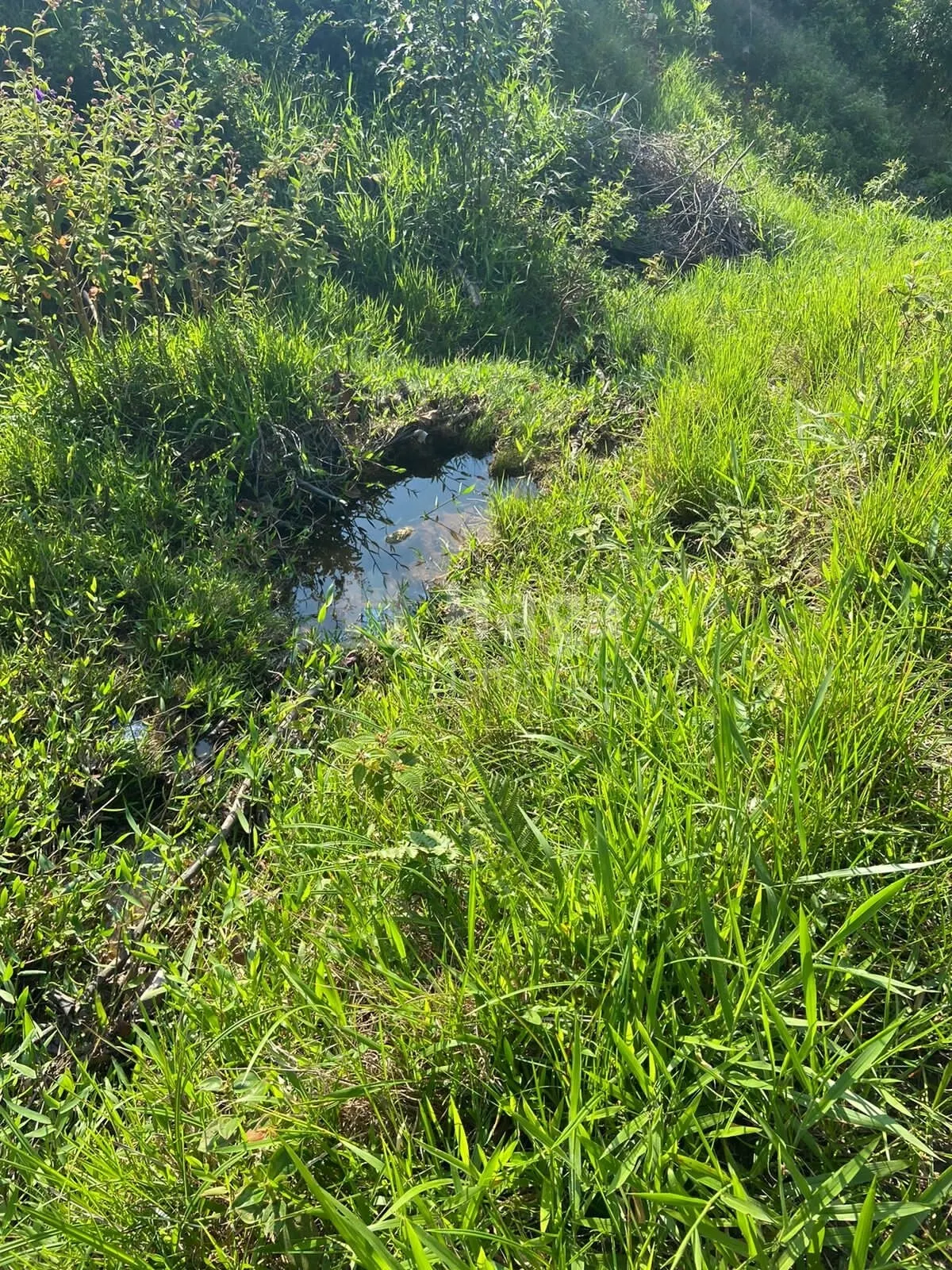Fazenda à venda de 3 ha em Tijucas, SC, Brasil
