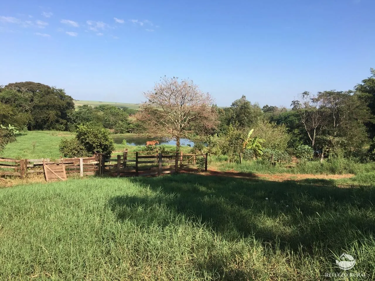 Sítio à venda de 5 ha em Itambaracá, PR, Brasil