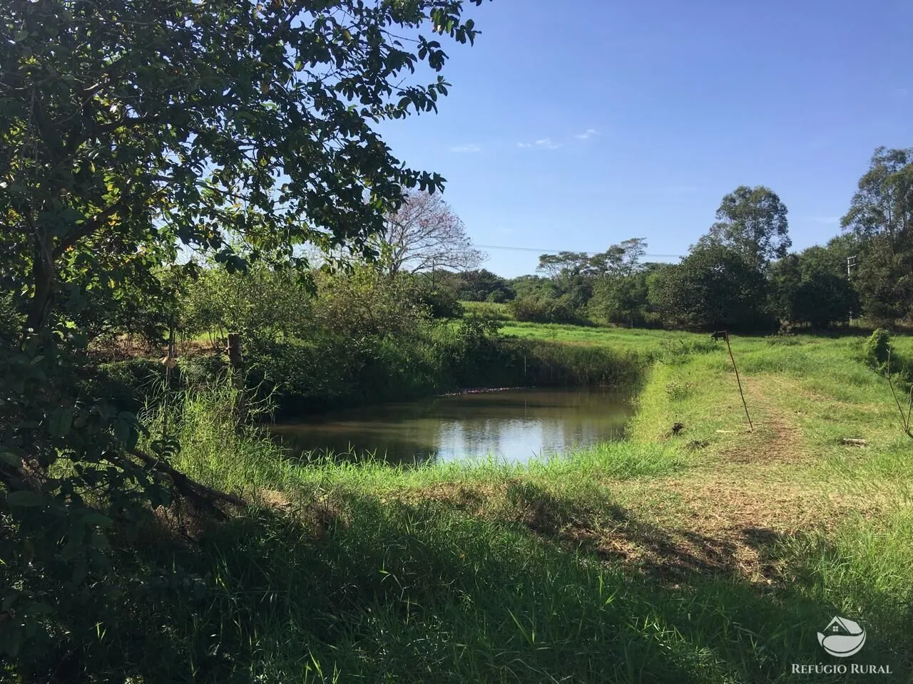 Sítio à venda de 5 ha em Itambaracá, PR, Brasil