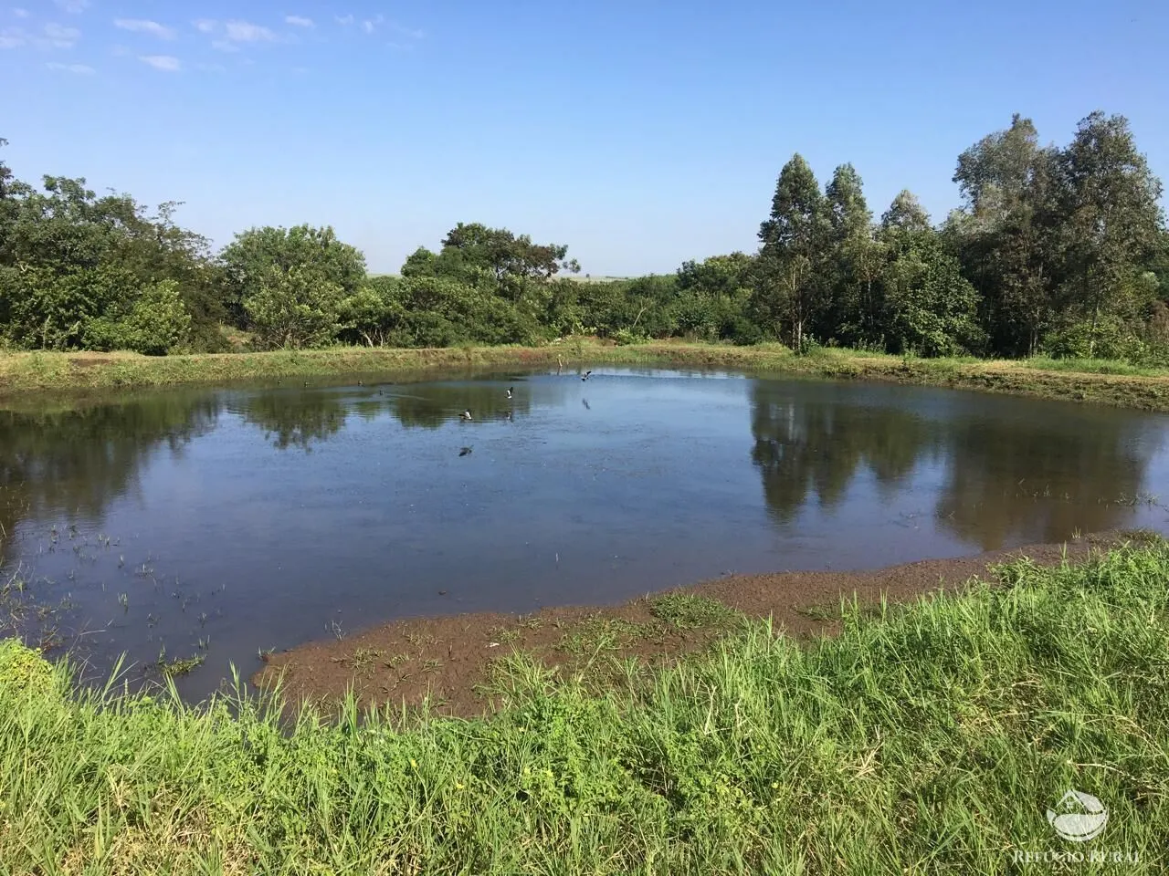 Sítio à venda de 5 ha em Itambaracá, PR, Brasil