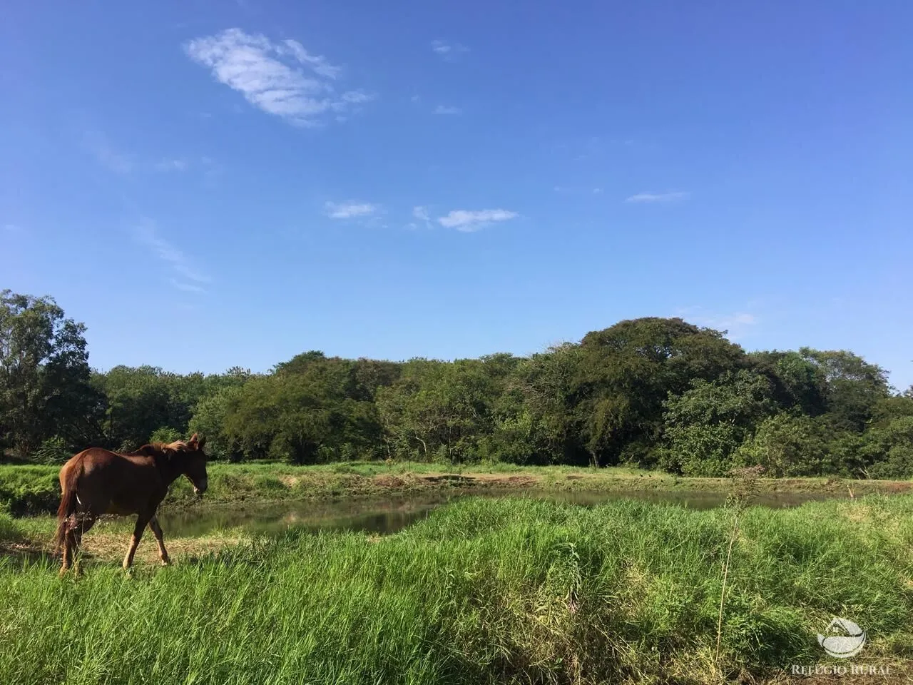 Sítio à venda de 5 ha em Itambaracá, PR, Brasil