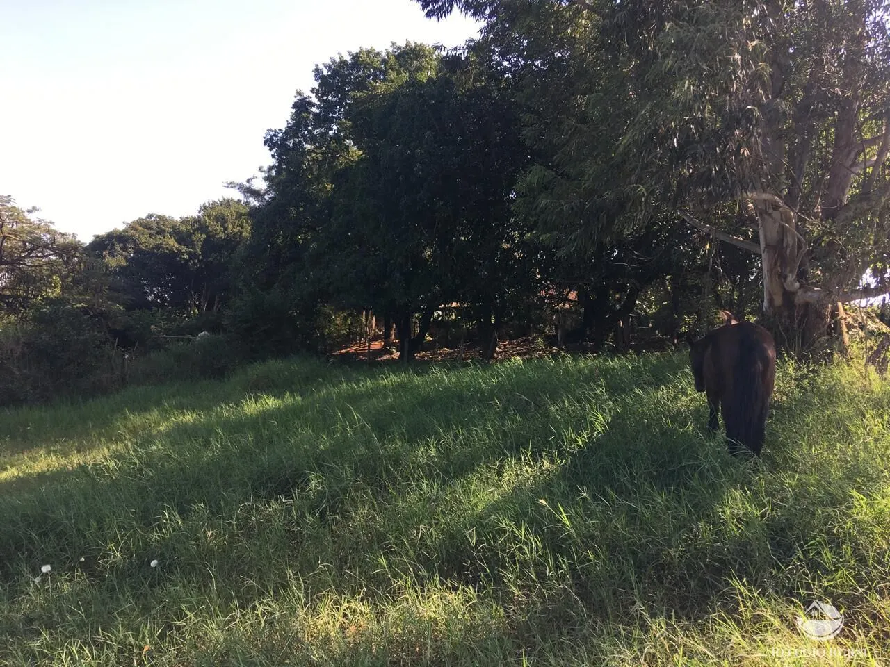 Sítio à venda de 5 ha em Itambaracá, PR, Brasil