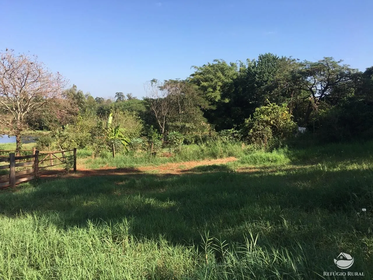 Sítio à venda de 5 ha em Itambaracá, PR, Brasil