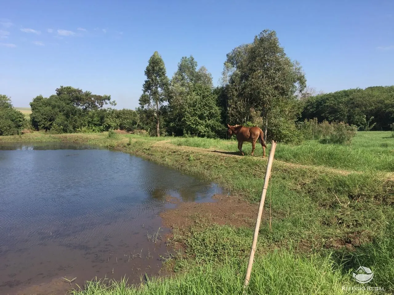 Sítio à venda de 5 ha em Itambaracá, PR, Brasil
