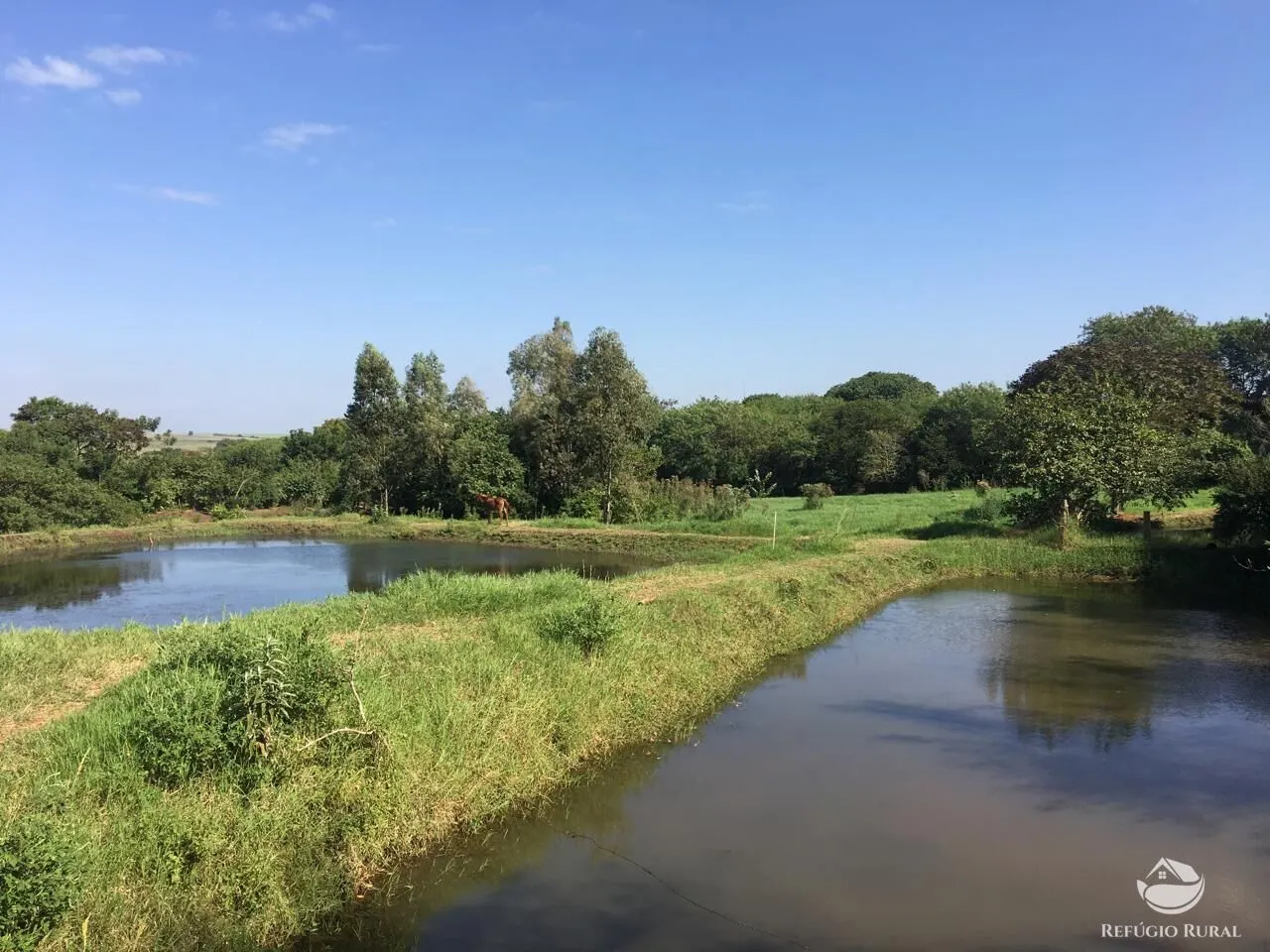 Sítio à venda de 5 ha em Itambaracá, PR, Brasil