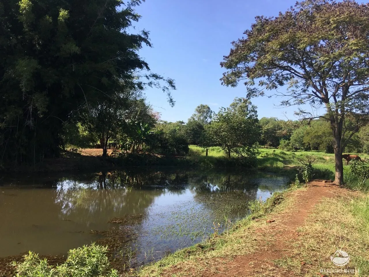 Sítio à venda de 5 ha em Itambaracá, PR, Brasil