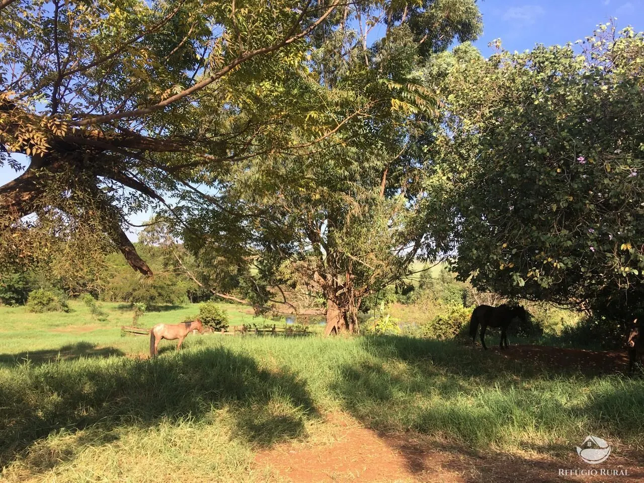 Sítio à venda de 5 ha em Itambaracá, PR, Brasil